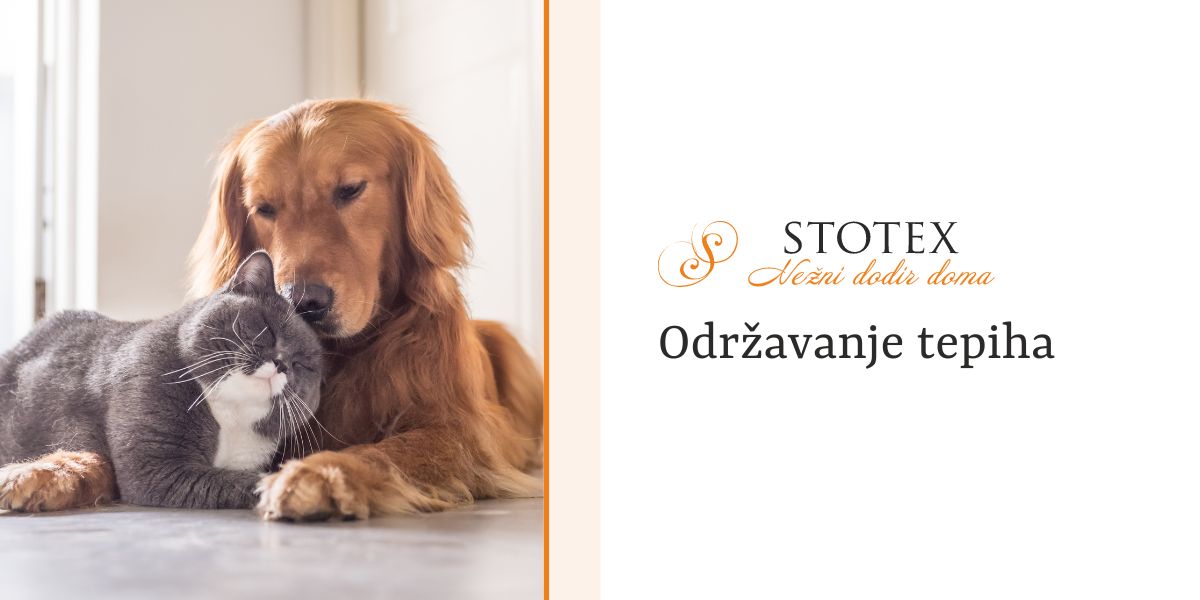 Održavanje tepiha | Stotex